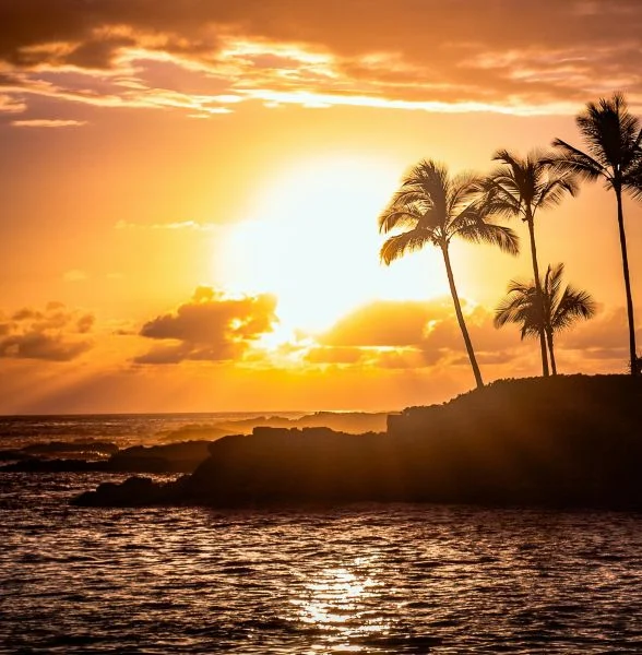 Elevated Floor Hawaii