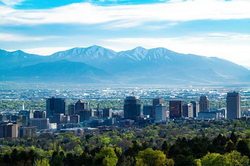 False Flooring Utah