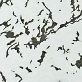 Hpl 8132