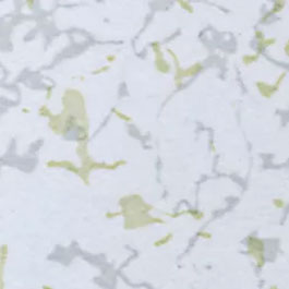 Hpl 8193