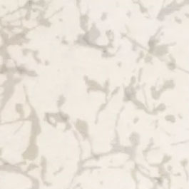 Hpl 8194 -1