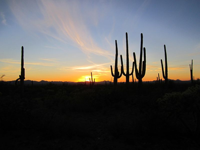 False Floor Arizona