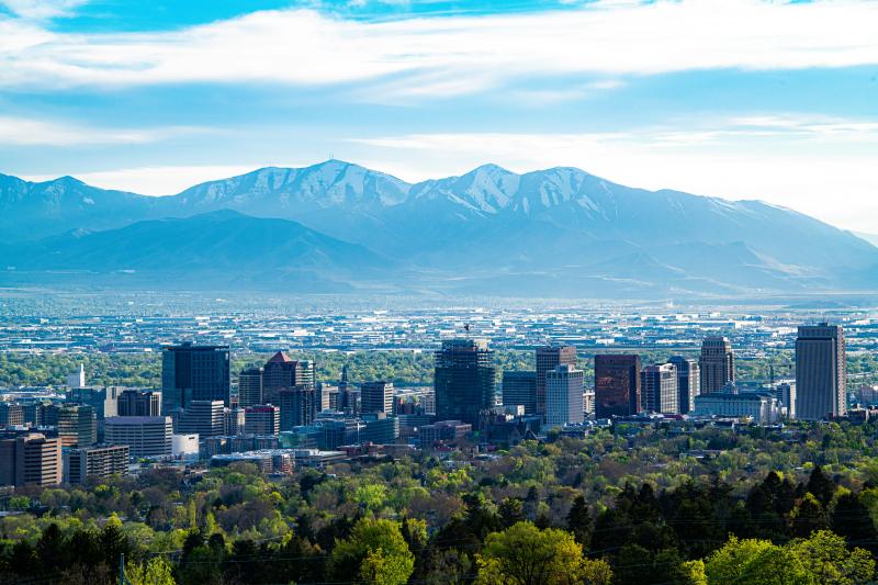 False Flooring Utah